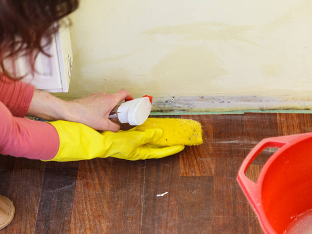 Asbestos and Lead Testing During Mold Inspection